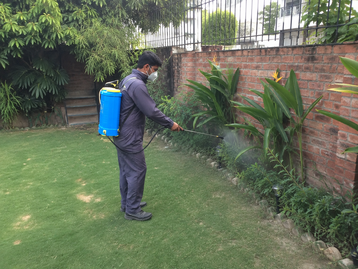 foging